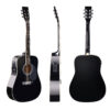 Entry Level Cheap Quality Acoustic Guitar with EQ for Beginners(FA209E)