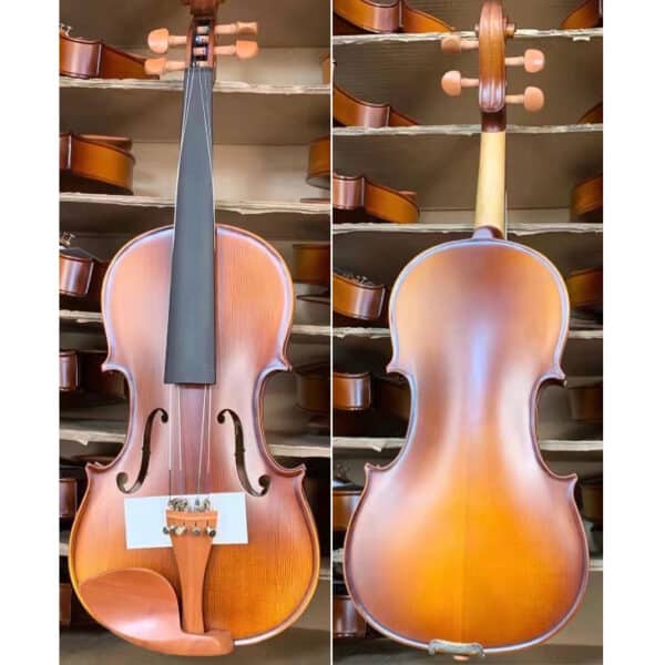 Advanced Quality Violin (DVL014-3)