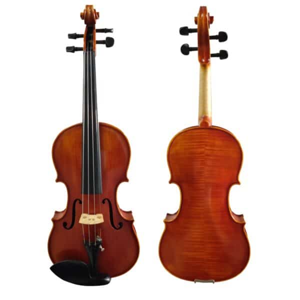 Moderate Quality Violin (DVL019-1)